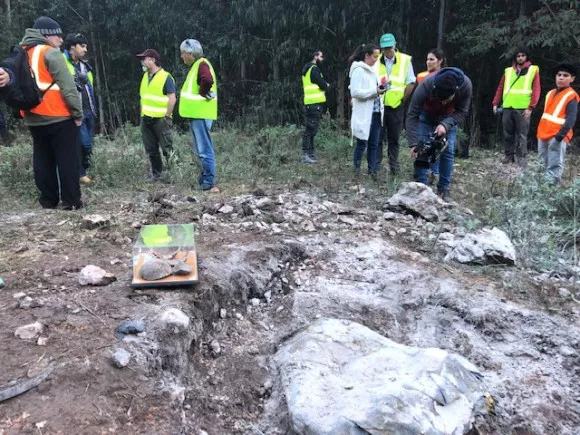 Huevos de dinosaurio_7