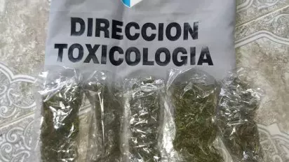 TOXICOLOGÍA MARIHUANA