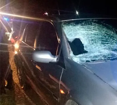 Un hombre de 70 años murió tras ser embestido por un auto en la Autovía