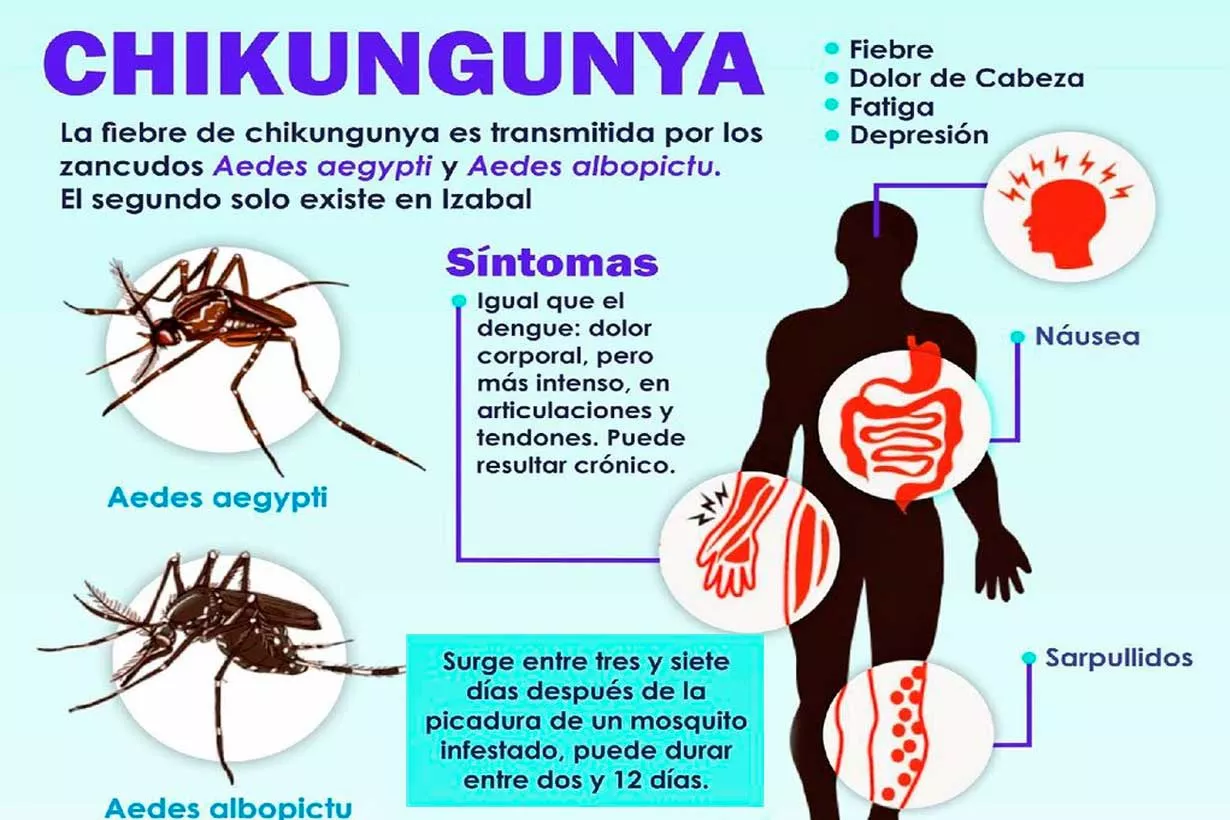 chikungunya