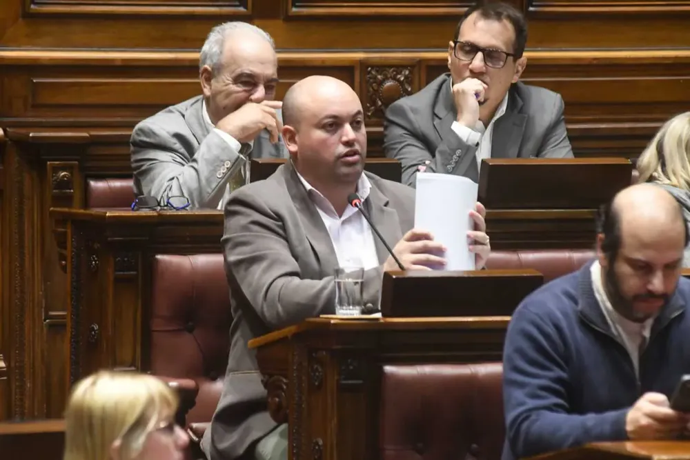 diputado nicolas viera interpelante