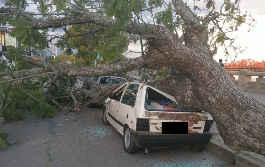 Temporal en Gualeguaychu_02