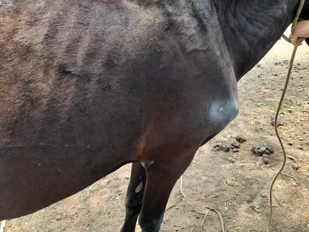 271958746_304224841764096_6293301930345867939_n