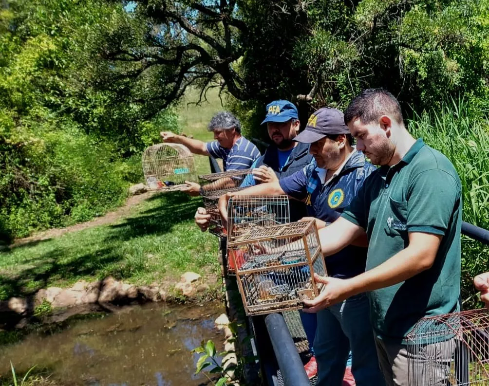 028324d1-25c2-4898-8b7f-3f22d8a5b883