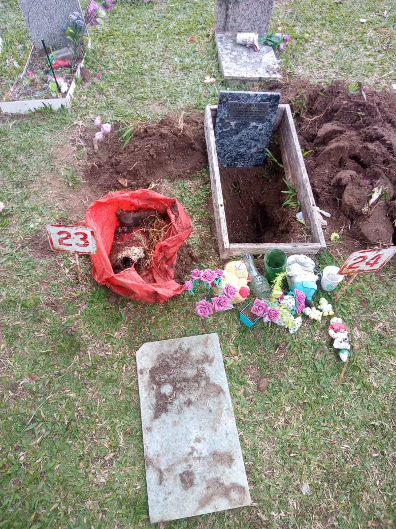 65104437-3e72-4764-930b-105ea9d32bdf