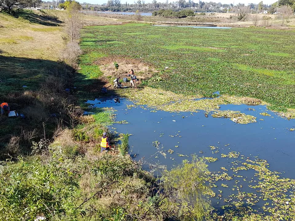 LIMPIEZA COSTANERA (1)