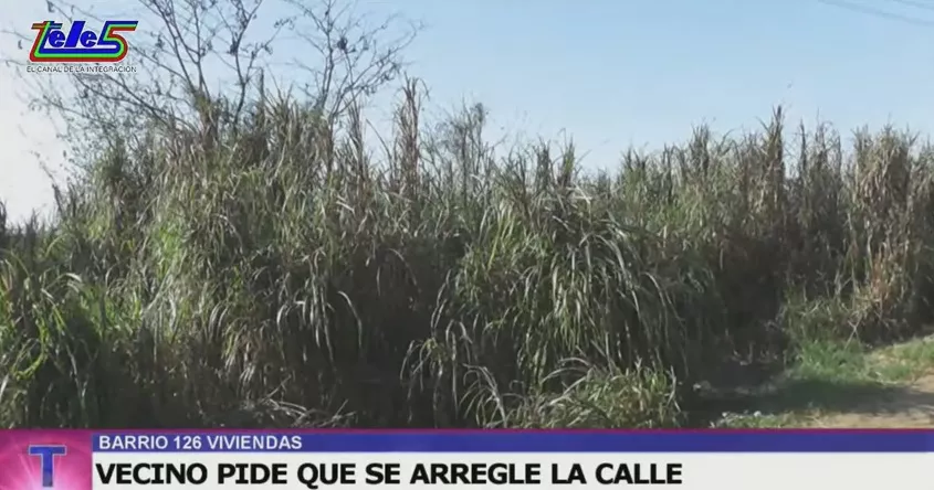 BARRIO 126 VIVIENDAS_3