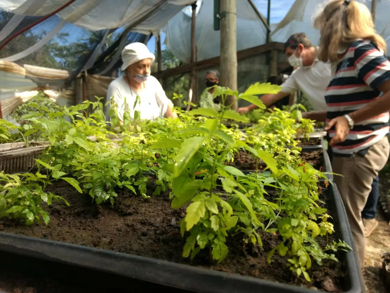 274225047_251672607156543_3875212808712962696_n