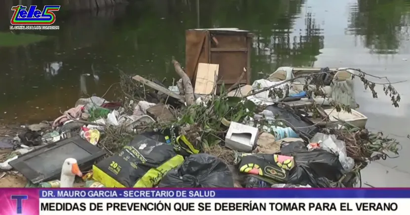 verano chatarra mosquitos