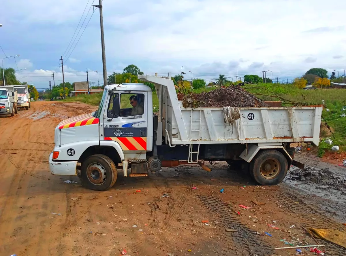 LIMPIEZA - MICROBASURALES (1)