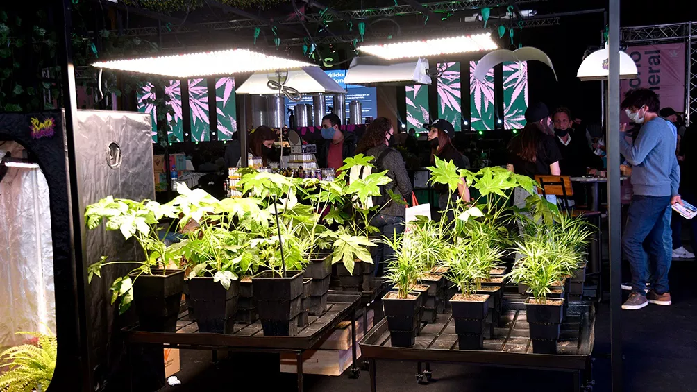 EXPOCANNABIS