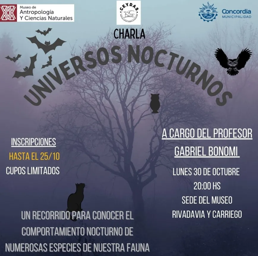 UNIVERSOS NOCTURNOS
