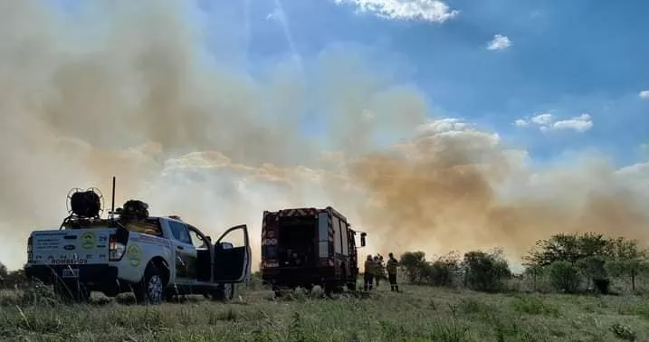 329637477_534006828625927_4285566615496112337_n