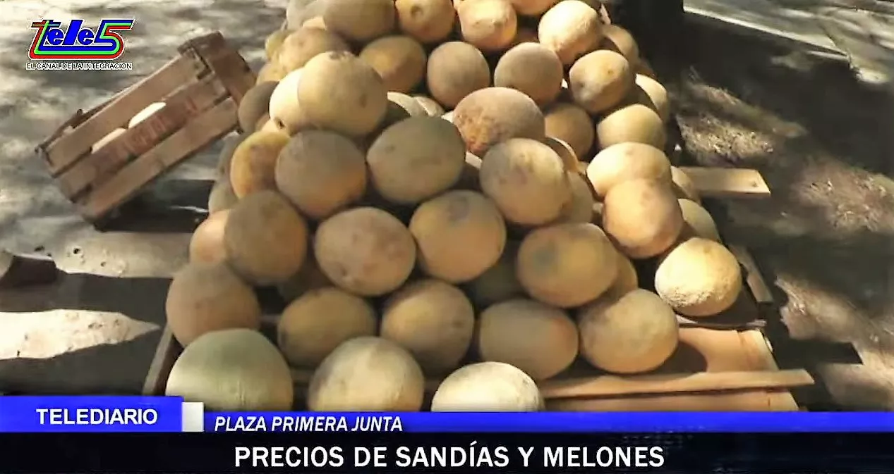 Sandías y melones 1