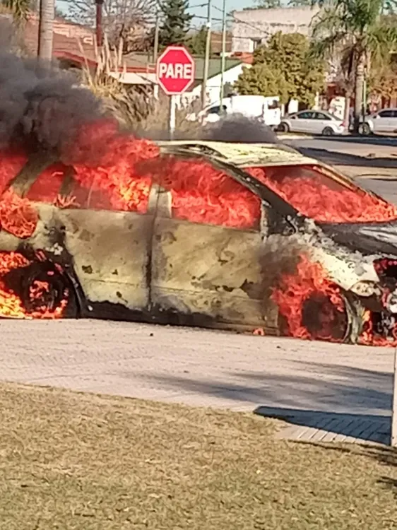 img_88253_ce17b4c1f9ce4db2b438087cd809a1df