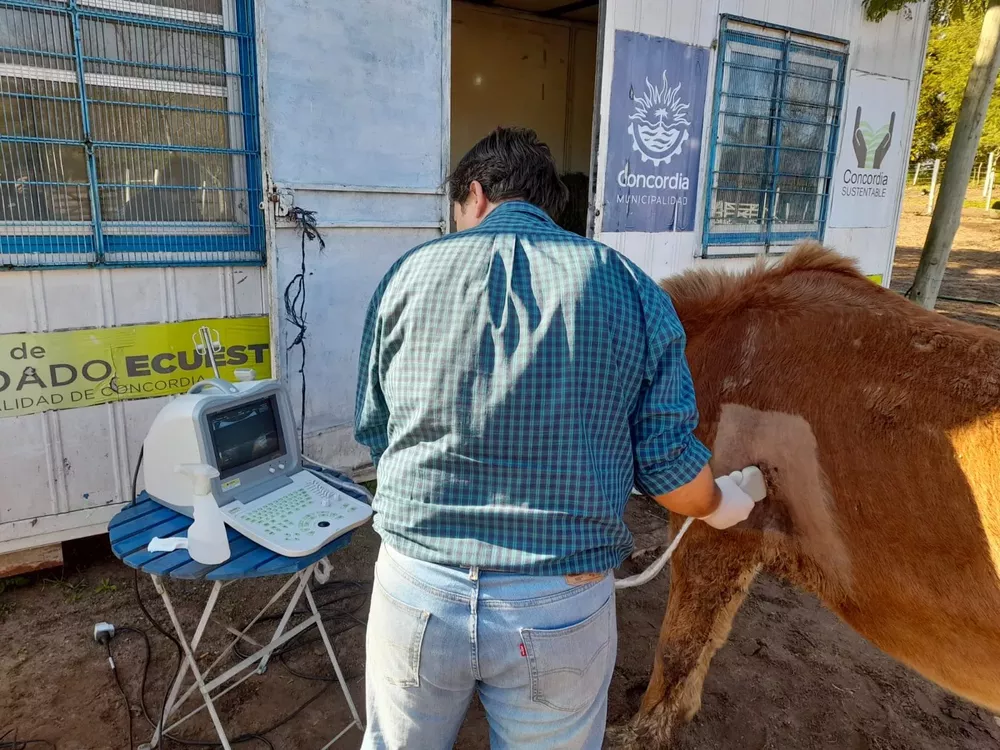Veterinaria Municipal