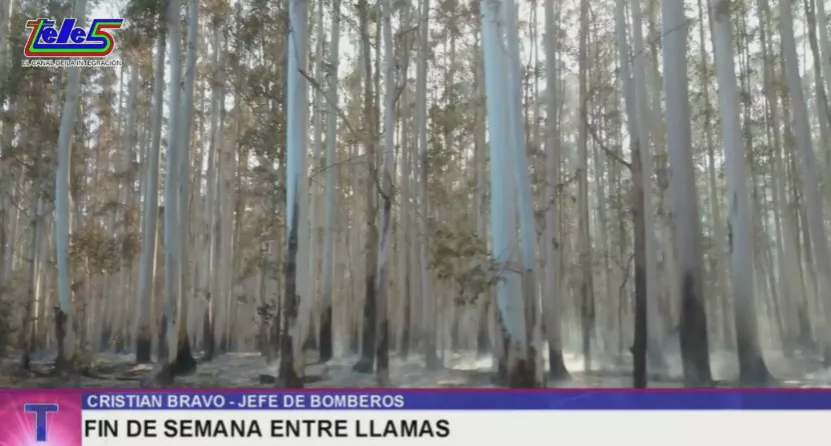 Cristian Bravo, incendios 2