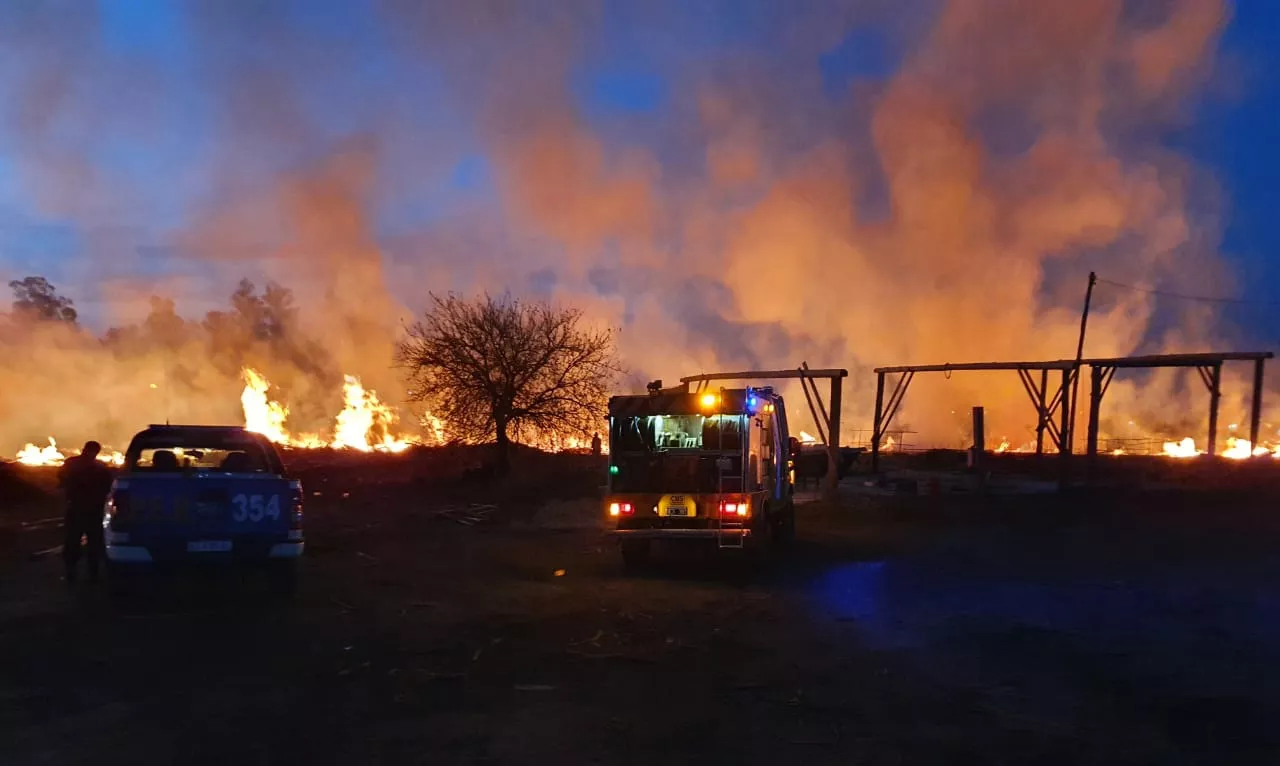 INCENDIO LADRILLEROS (1)