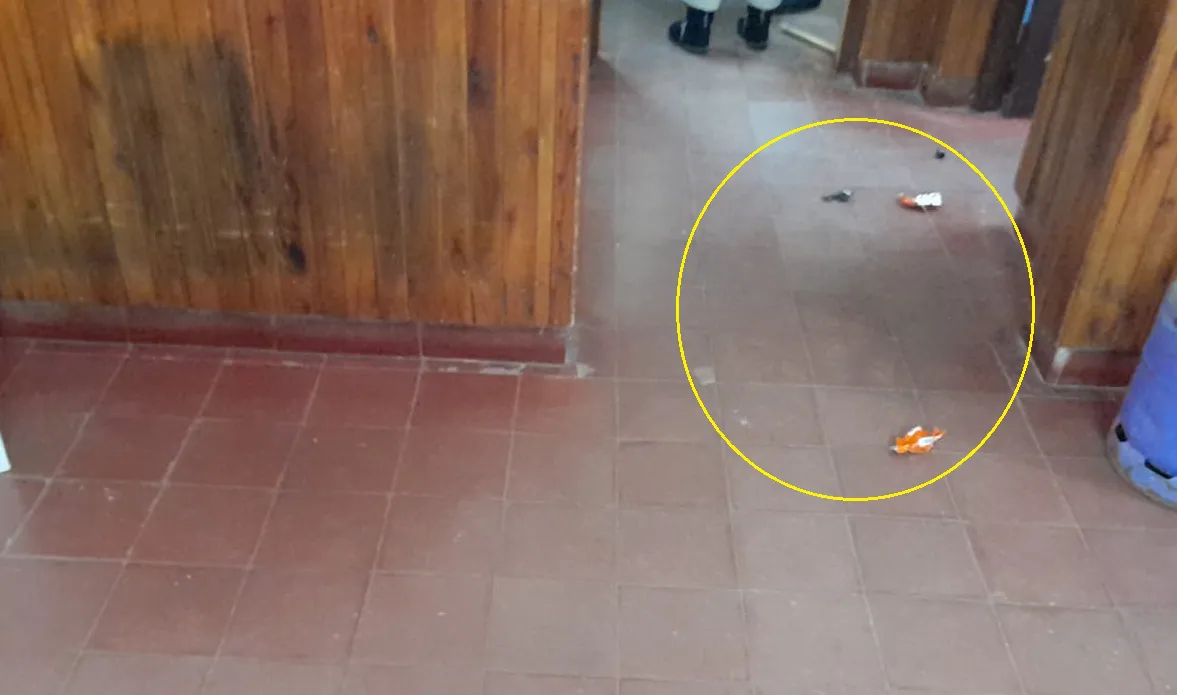 IMG-20230718-WA00346