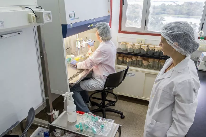 Biorreactores_1