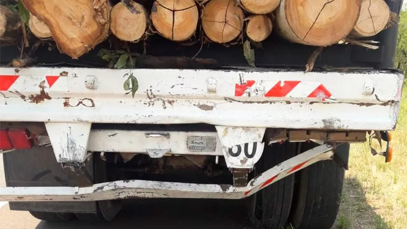 Mujer que viajaba con sus nietos se quedó dormida y chocó contra la parte trasera de un camión 03