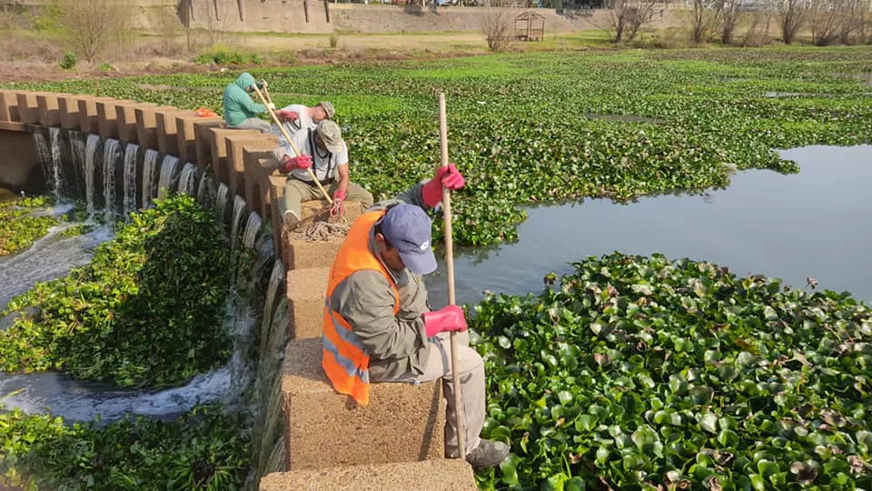 LIMPIEZA COSTANERA (6)