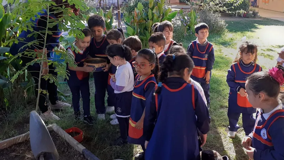 ESCUELAS VERDES Y SUSTENTABLES1