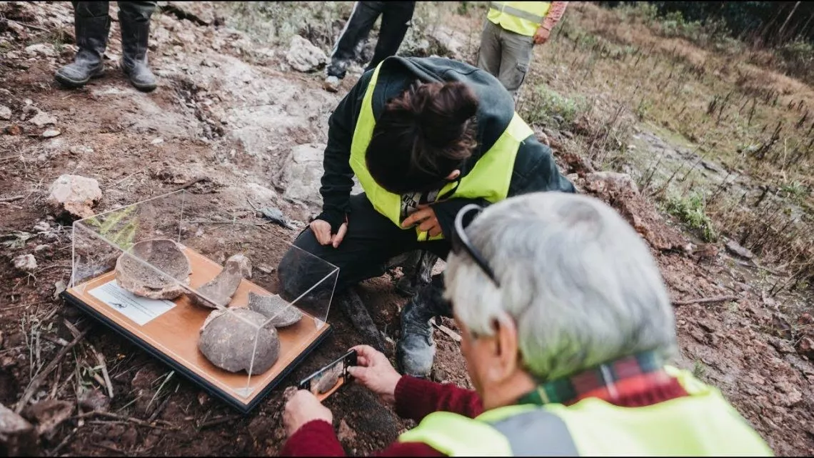 Huevos de dinosaurio_8