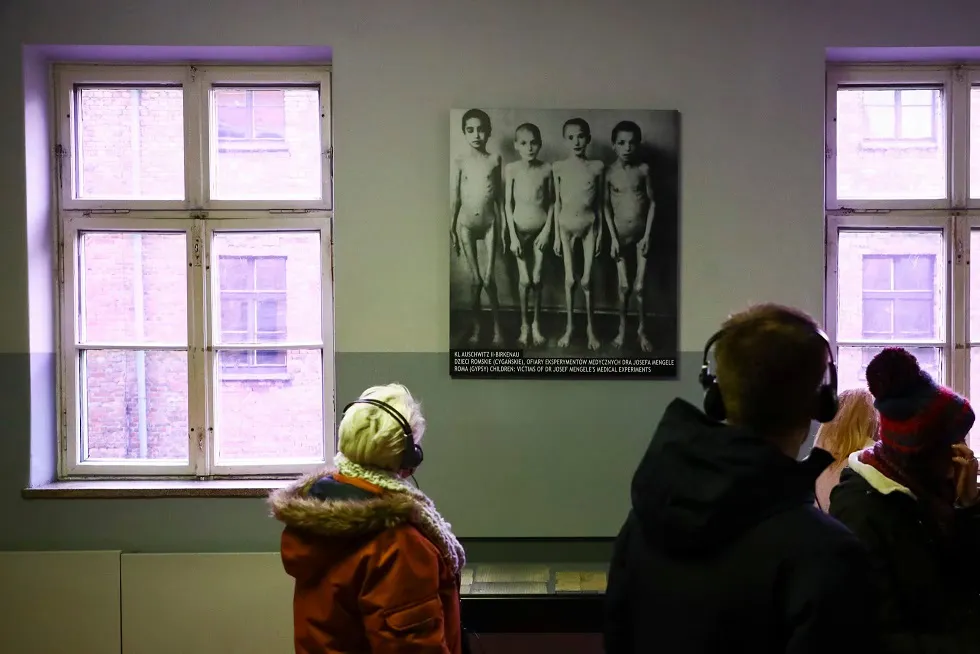 mengele 2