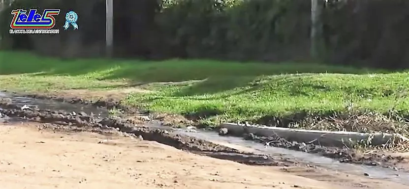 Problemas de cloacas_3