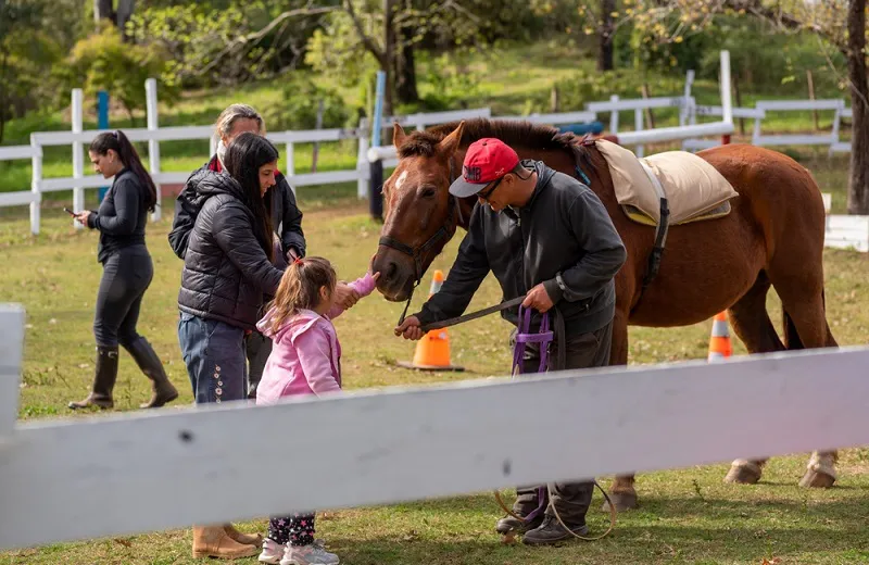 CENTRO DE EQUINOTERAPIA (2)