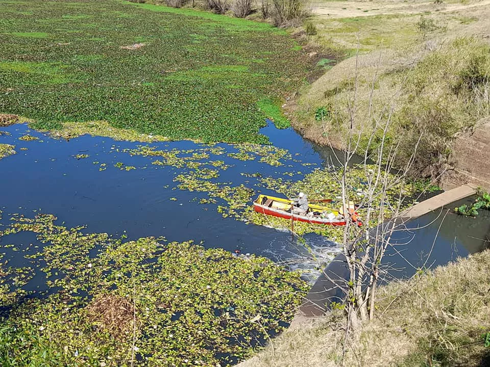 LIMPIEZA COSTANERA (4)
