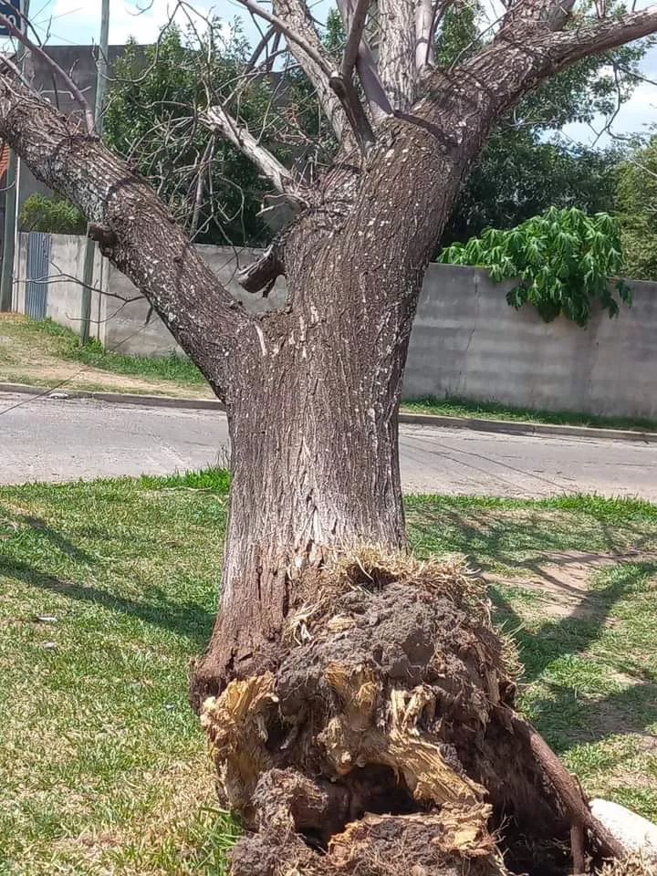 FB_IMG_1676307102919