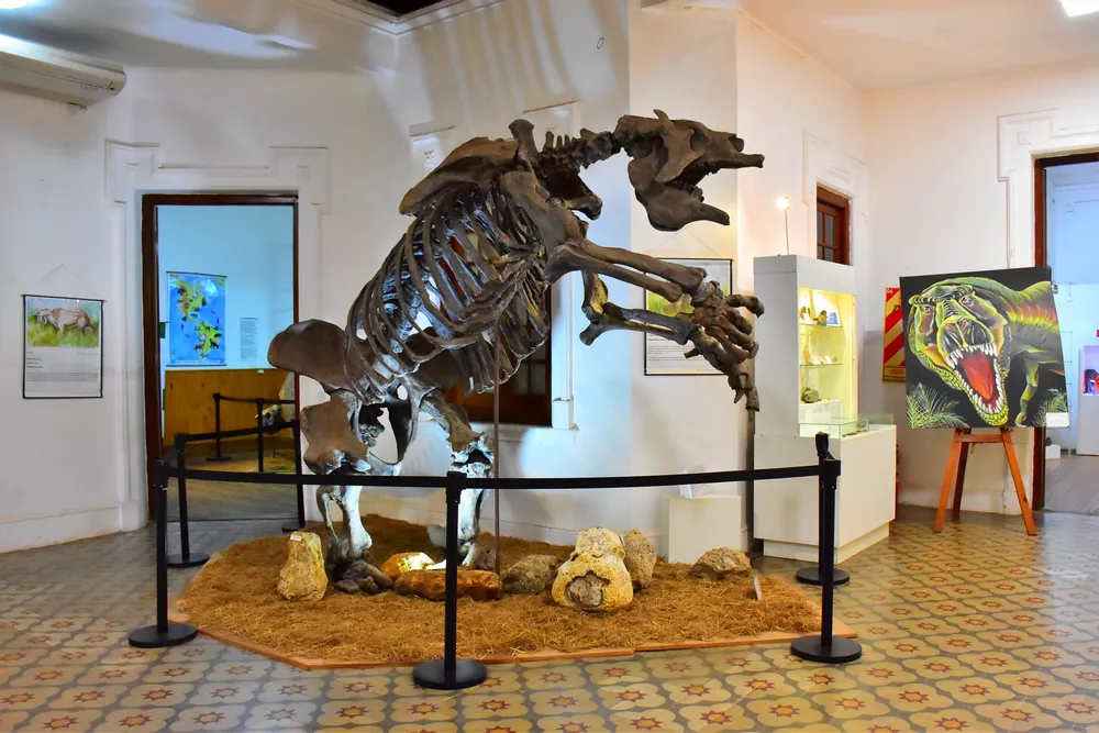 MUSEOS - CONCORDIA (3)