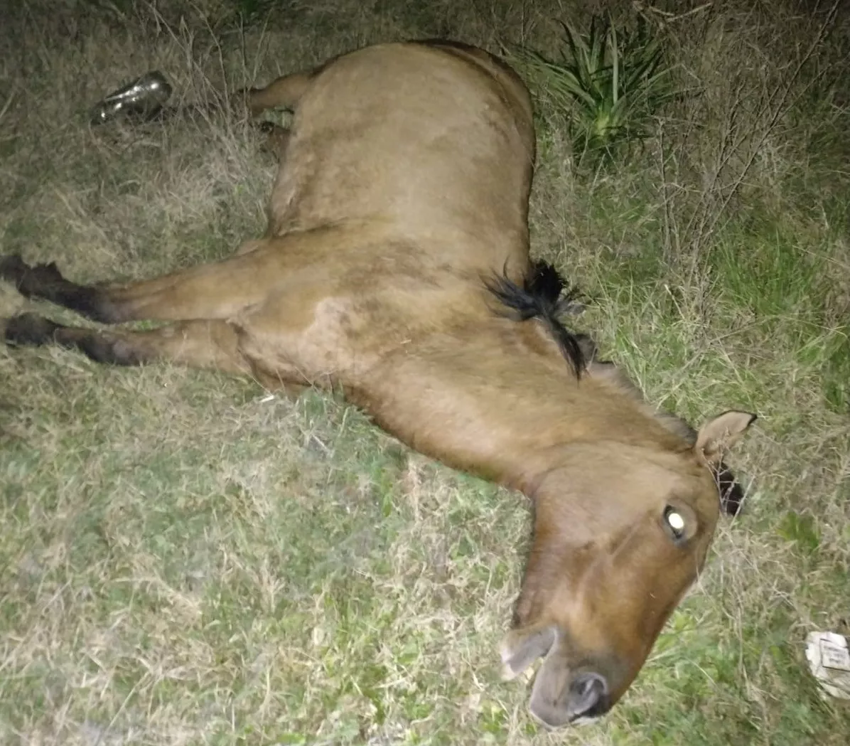 Accidente RP 4 (1)