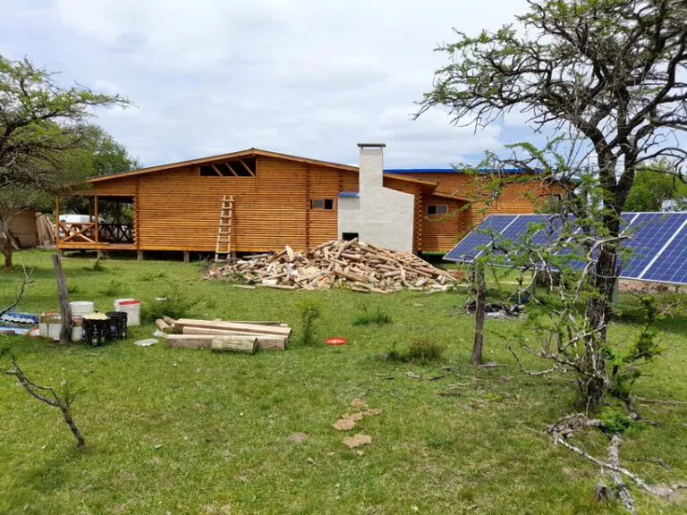 o_1638019759-1-768x576