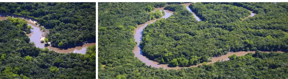RESERVA CENTELLA EN CONCEPCION DEL URUGUAY