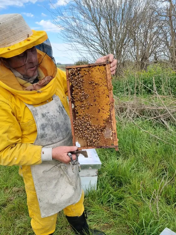 apicultores 2