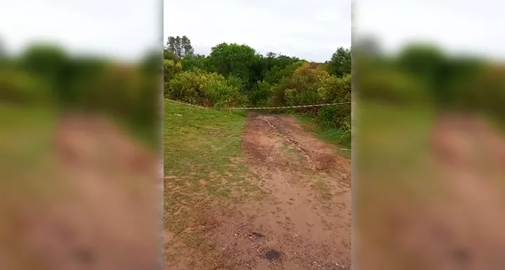 Búsqueda de hermanitos - Paraná