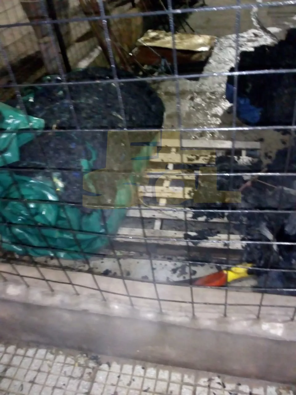 20220731_083800_0000