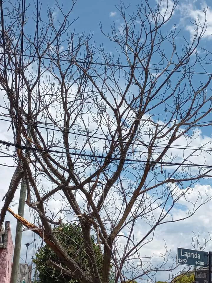 FB_IMG_1676307108645