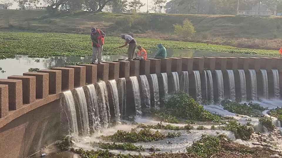 LIMPIEZA COSTANERA (2)