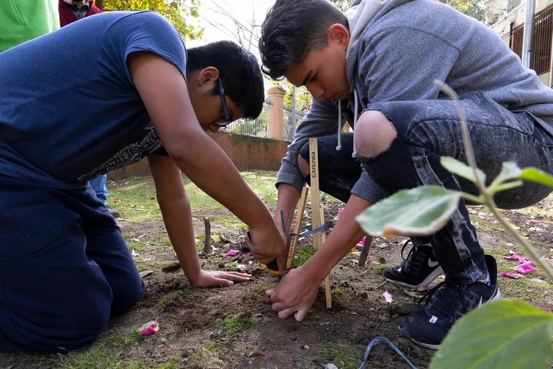 ESCUELAS VERDES Y SUSTENTABLES