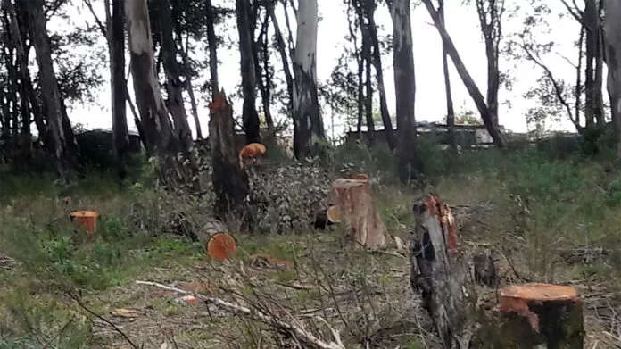 Accidente Federación 1