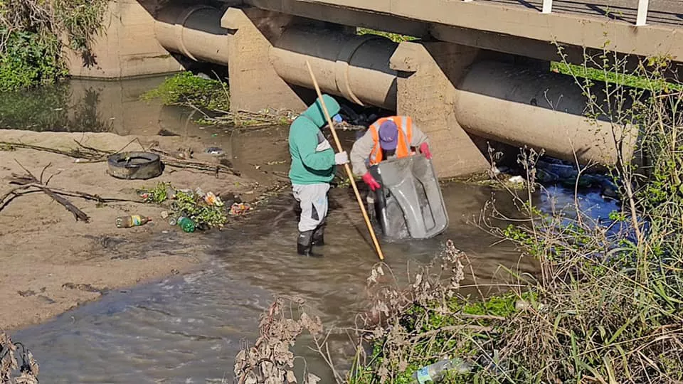 LIMPIEZA COSTANERA (3)