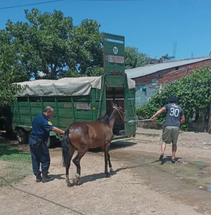 269819987_290581793128401_3773668444586016148_n