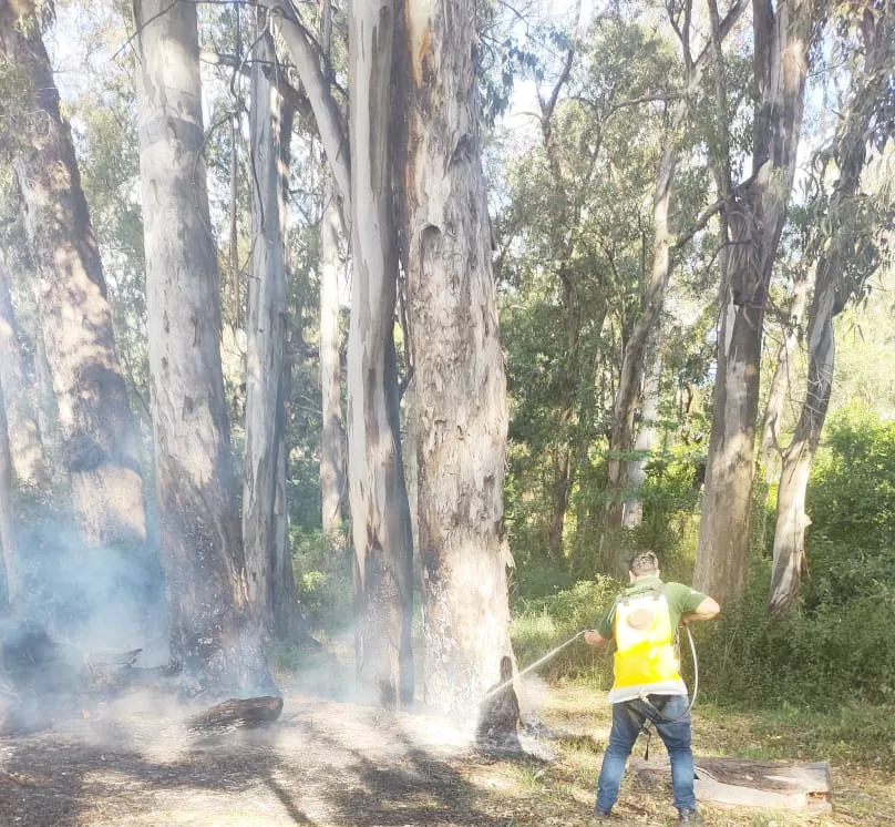 Incendio _ Parque San Carlos_02
