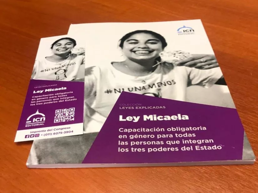 Ley Micaela