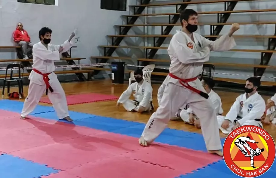 PRETORNEO TAEKWONDO DOMINGO (6)