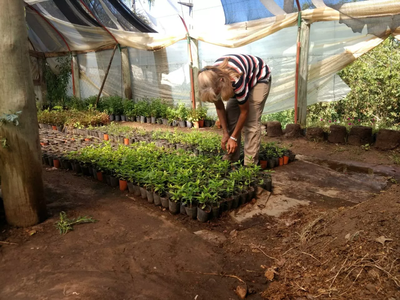 273011207_251672653823205_6305624926894013193_n